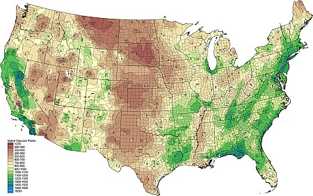 1nat07_NativePer2500km2.png 1nat07_NativePer2500km2.png